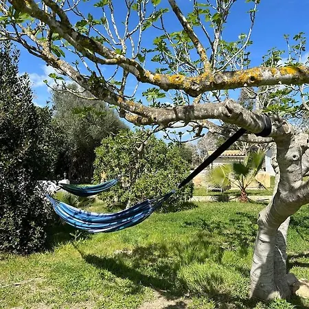 Finca Roberto Tatil Evi