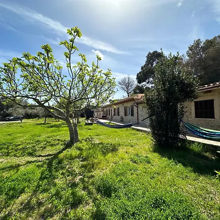 Finca Roberto Tatil Evi *